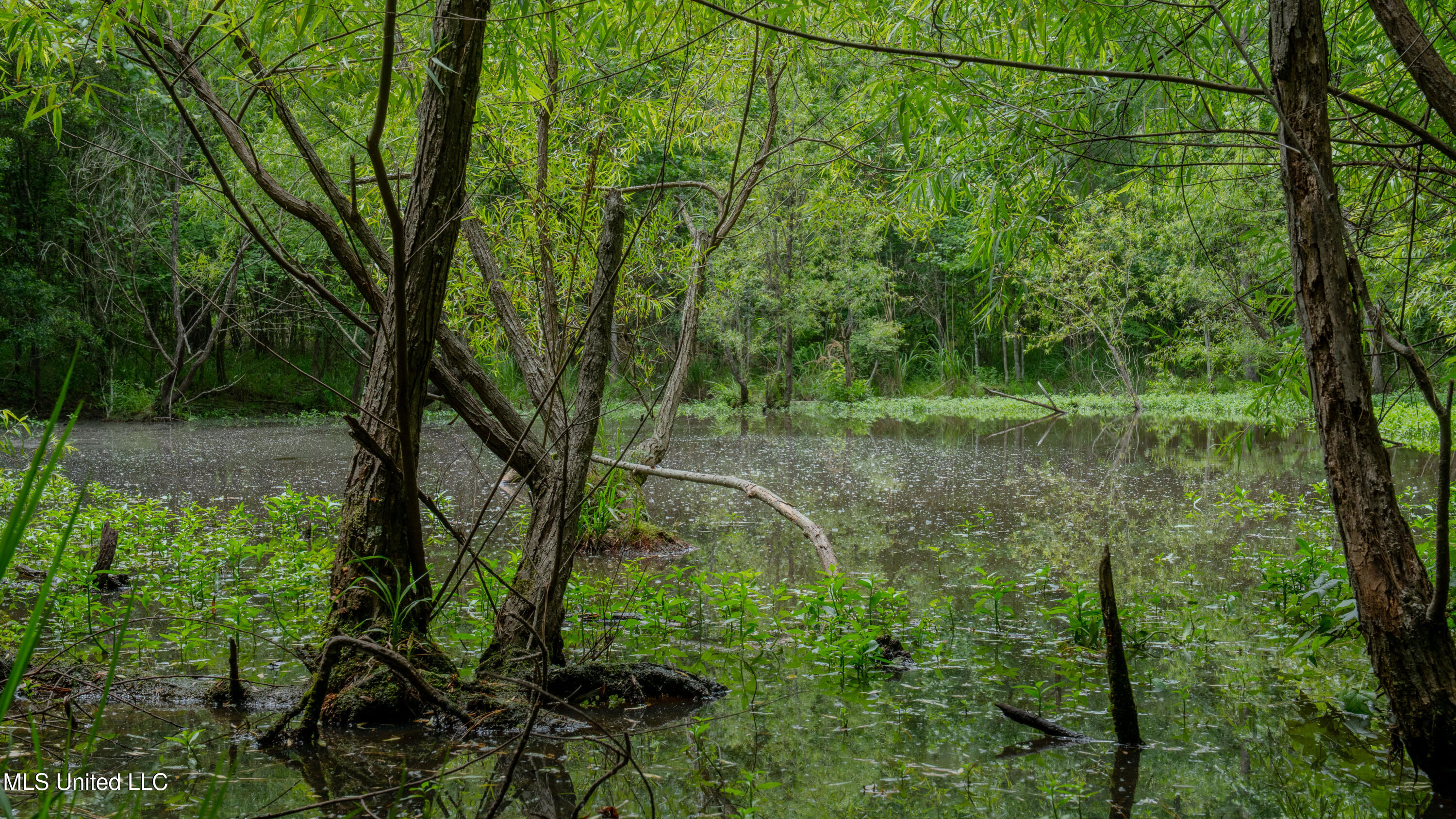 Oooo Big Creek Road Byram, MS 39212 - Photo 45 of 50 56.64 Acre-TERRY-MWLG-47