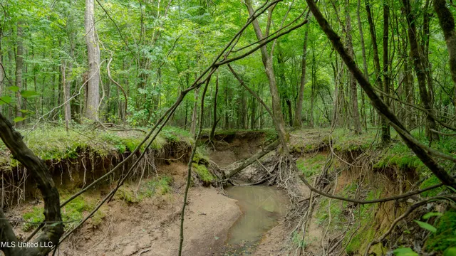 $240,720 | Oooo Big Creek Road, Byram, MS 39212