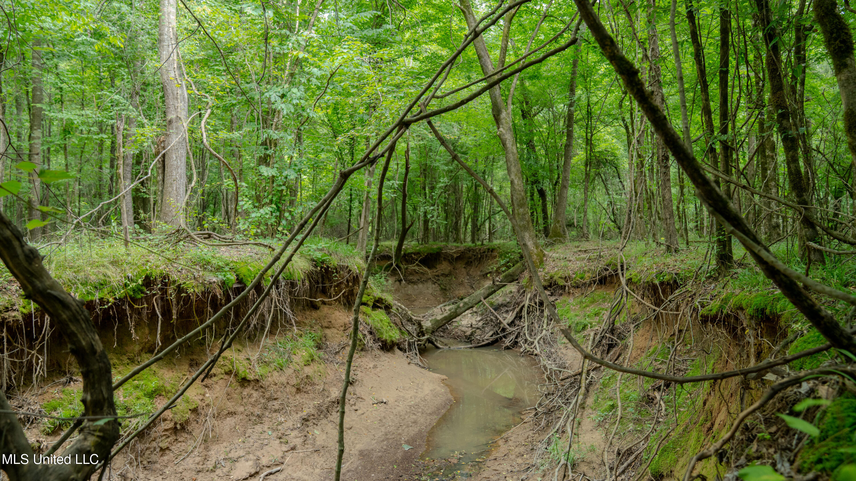 Oooo Big Creek Road Byram, MS 39212 - Photo 46 of 50 56.64 Acre-TERRY-MWLG-49