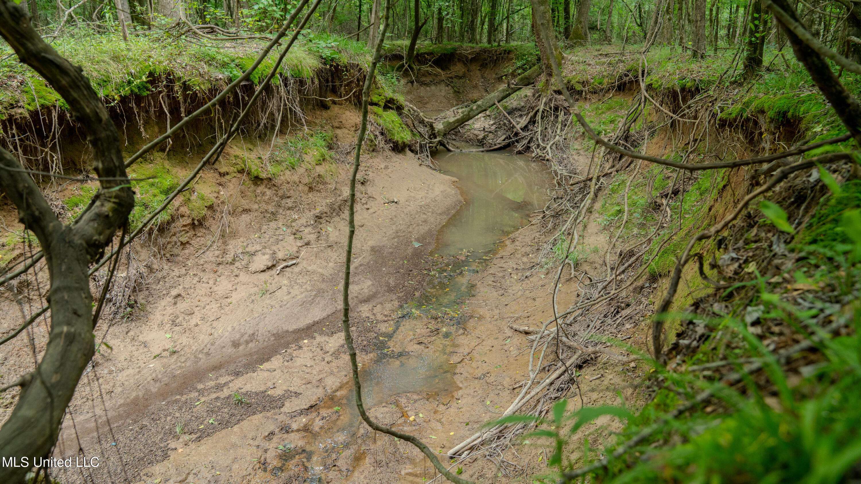 Oooo Big Creek Road Byram, MS 39212 - Photo 47 of 50 56.64 Acre-TERRY-MWLG-50