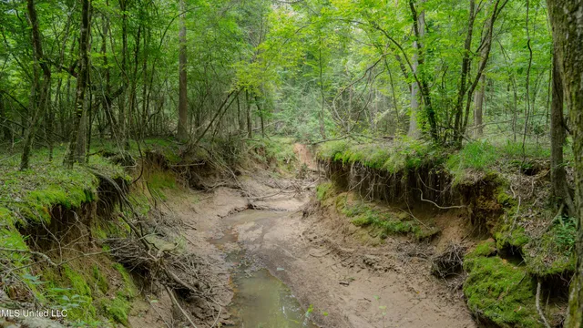 $240,720 | Oooo Big Creek Road, Byram, MS 39212