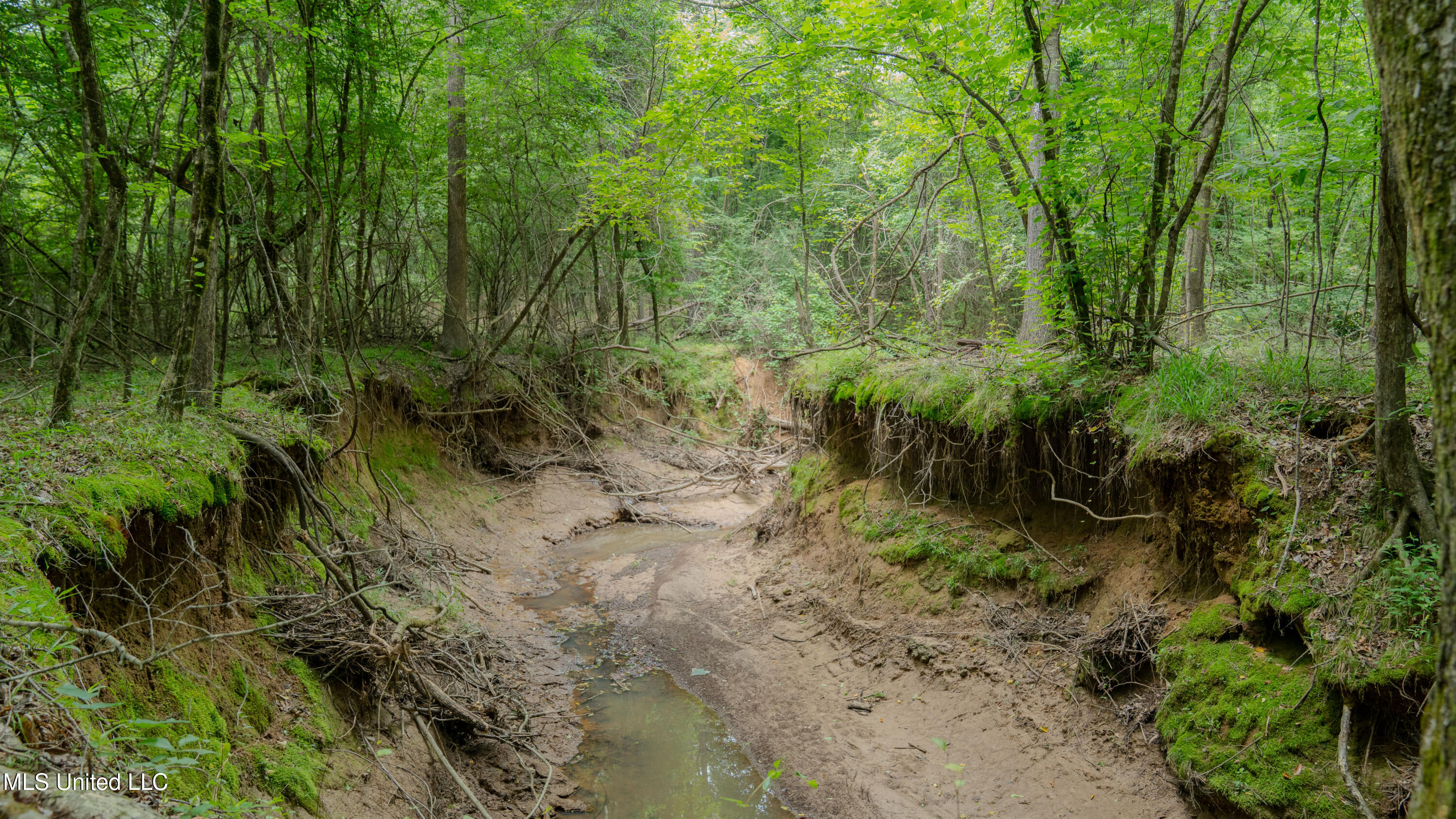 Oooo Big Creek Road Byram, MS 39212 - Photo 48 of 50 56.64 Acre-TERRY-MWLG-51