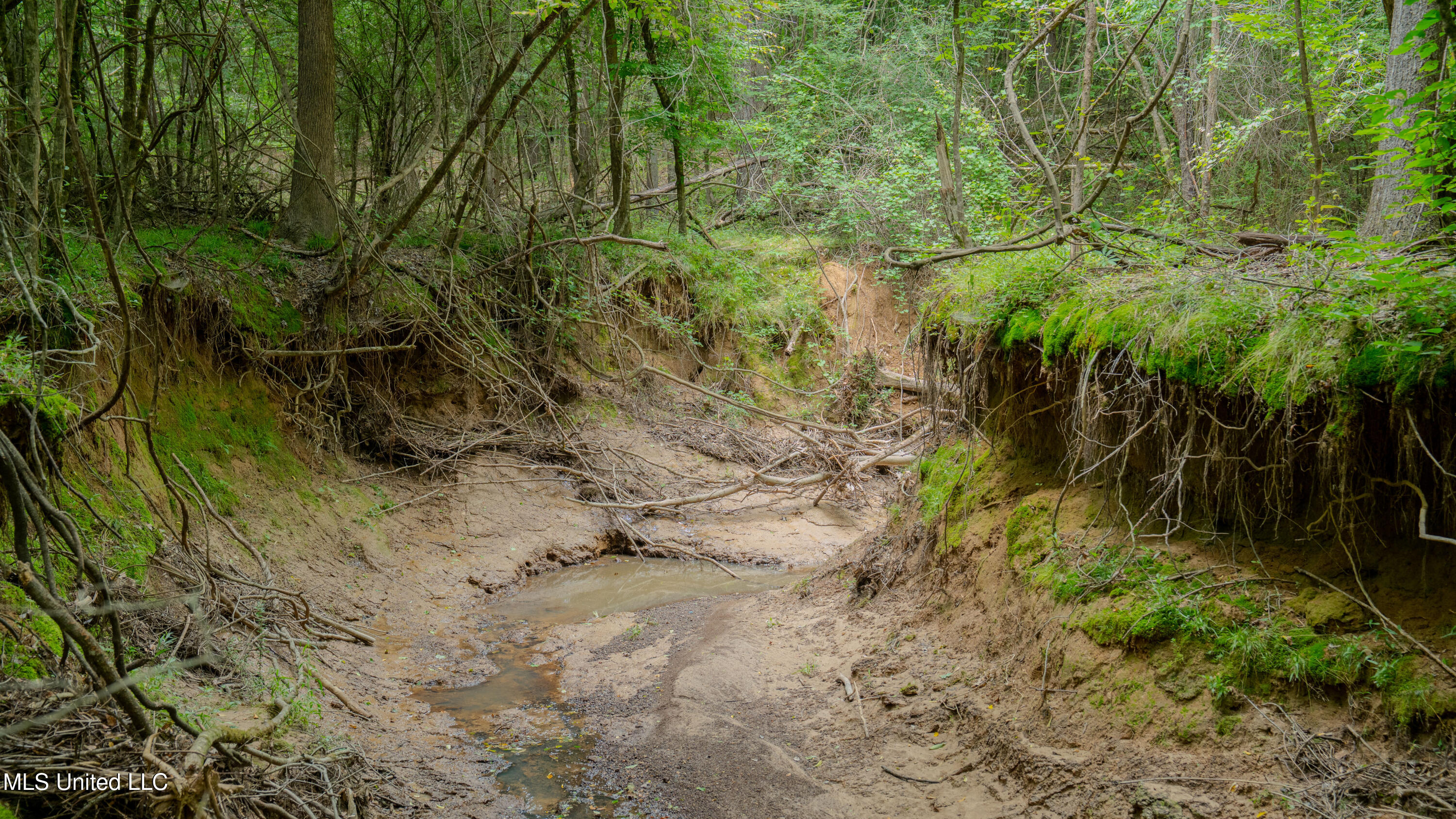Oooo Big Creek Road Byram, MS 39212 - Photo 49 of 50 56.64 Acre-TERRY-MWLG-52