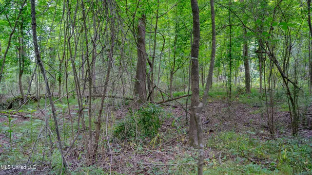 $240,720 | Oooo Big Creek Road, Byram, MS 39212