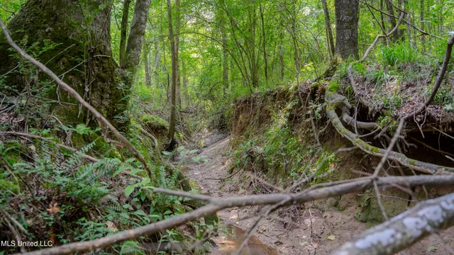 $240,720 | Oooo Big Creek Road, Byram, MS 39212