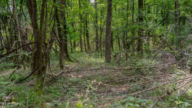 $240,720 | Oooo Big Creek Road, Byram, MS 39212