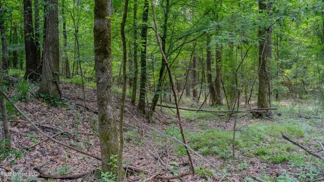 $240,720 | Oooo Big Creek Road, Byram, MS 39212