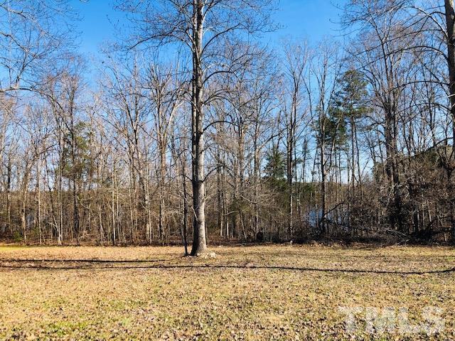 83 Bucks Pointe Roxboro, NC 27574 - Photo 17 of 17