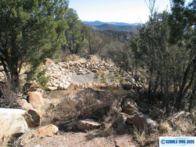 9 Radio Tower Road Silver City, NM 88053 - Photo 19 of 30 Gallery Image 19