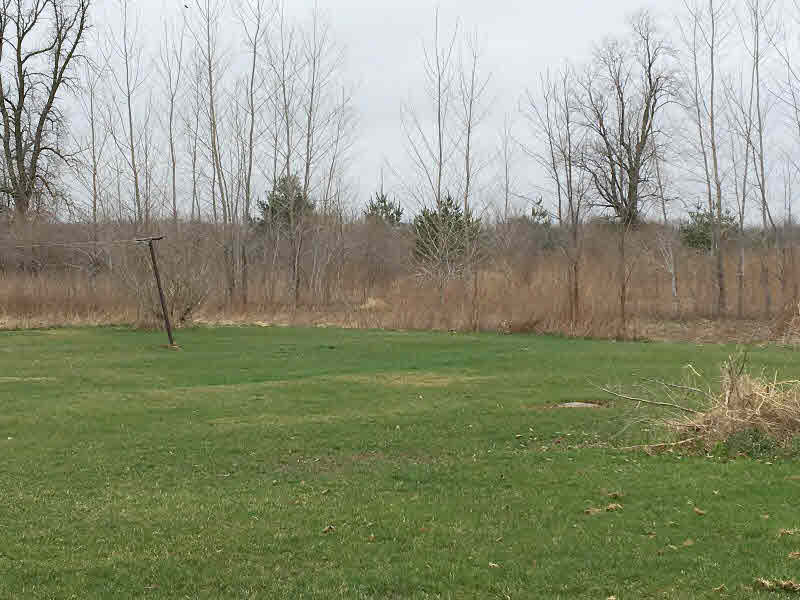 1224 West Neuman Road Pinconning, MI 48650 - Photo 11 of 12