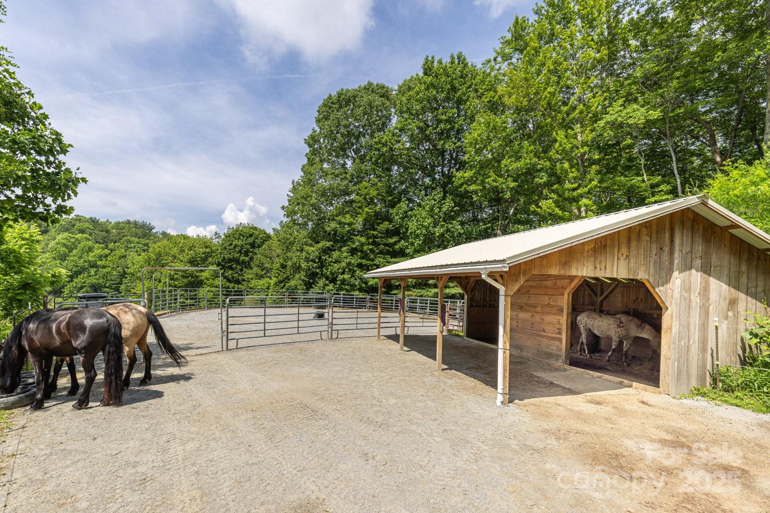 1745 Sugar Camp Road Marshall, NC 28753 - Photo 29 of 41 a view of a house with backyard and trees