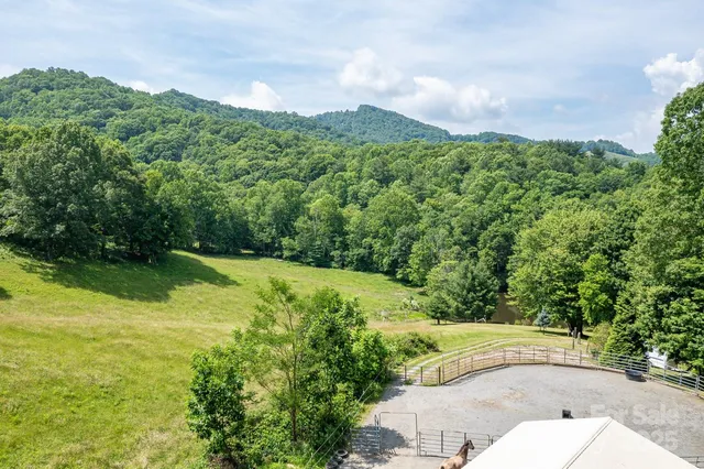 a view of a back yard