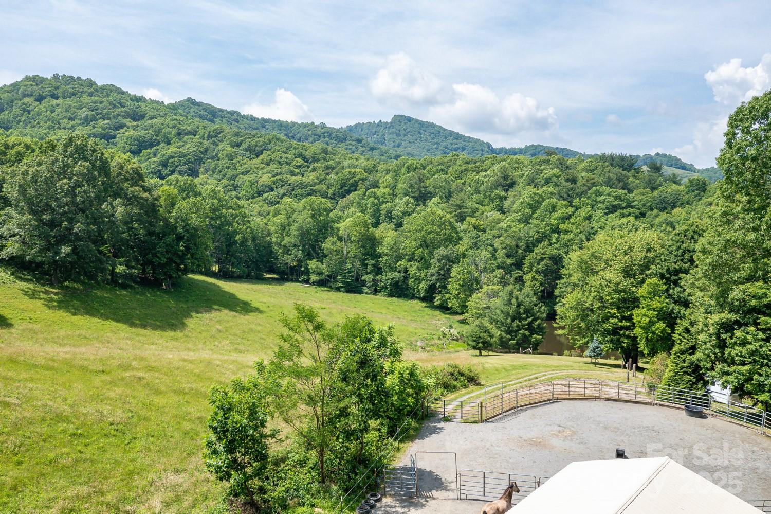 1745 Sugar Camp Road Marshall, NC 28753 - Photo 31 of 41 a view of a back yard