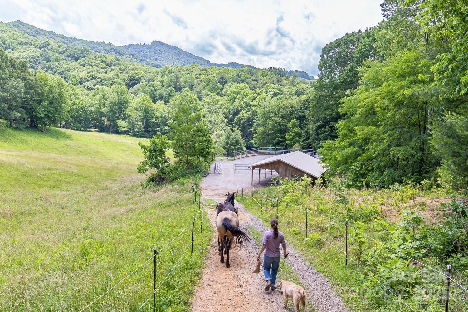1745 Sugar Camp Road Marshall, NC 28753 - Photo 32 of 41 a view of a garden with a building in the background