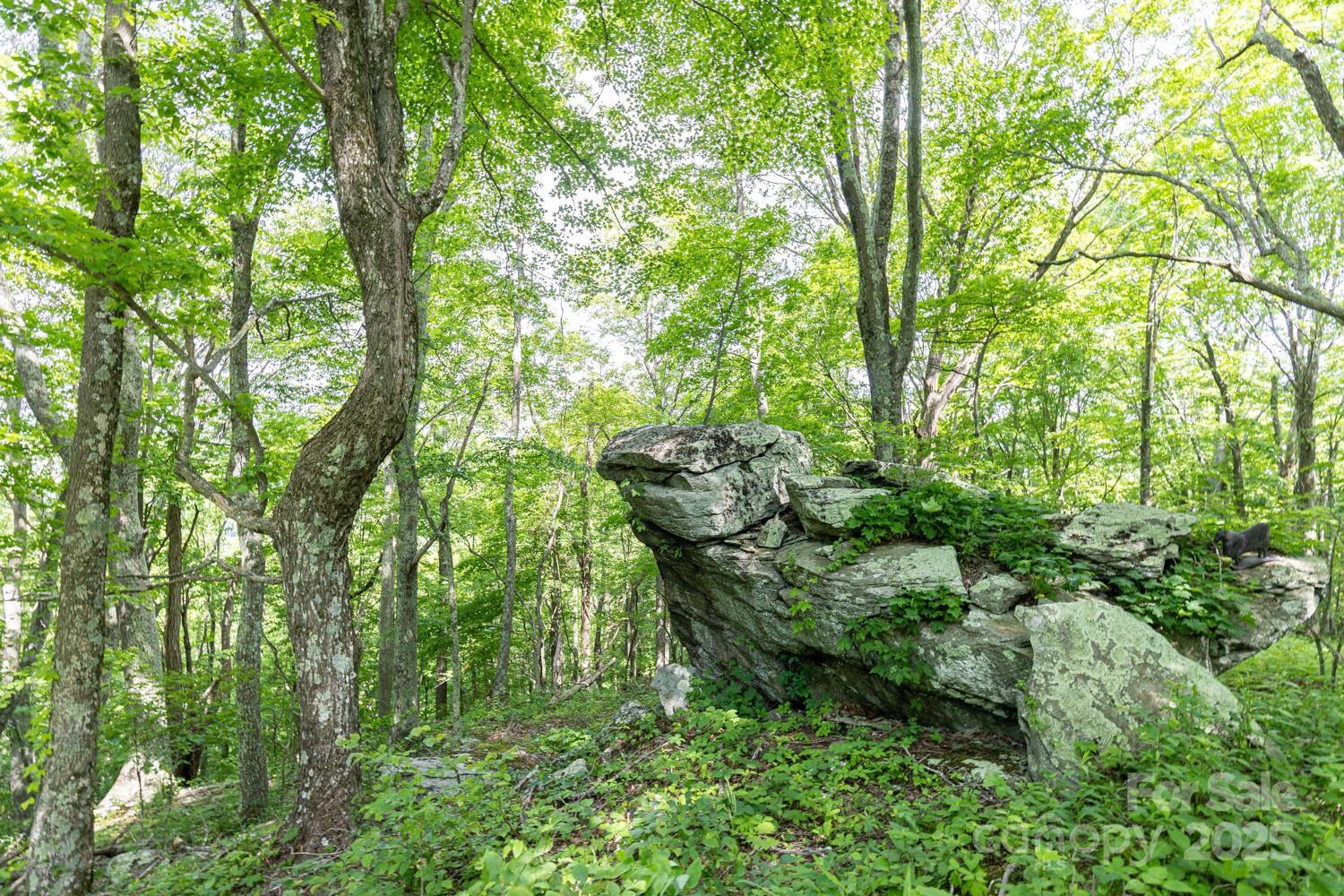 1745 Sugar Camp Road Marshall, NC 28753 - Photo 33 of 41 a view of outdoor space and yard