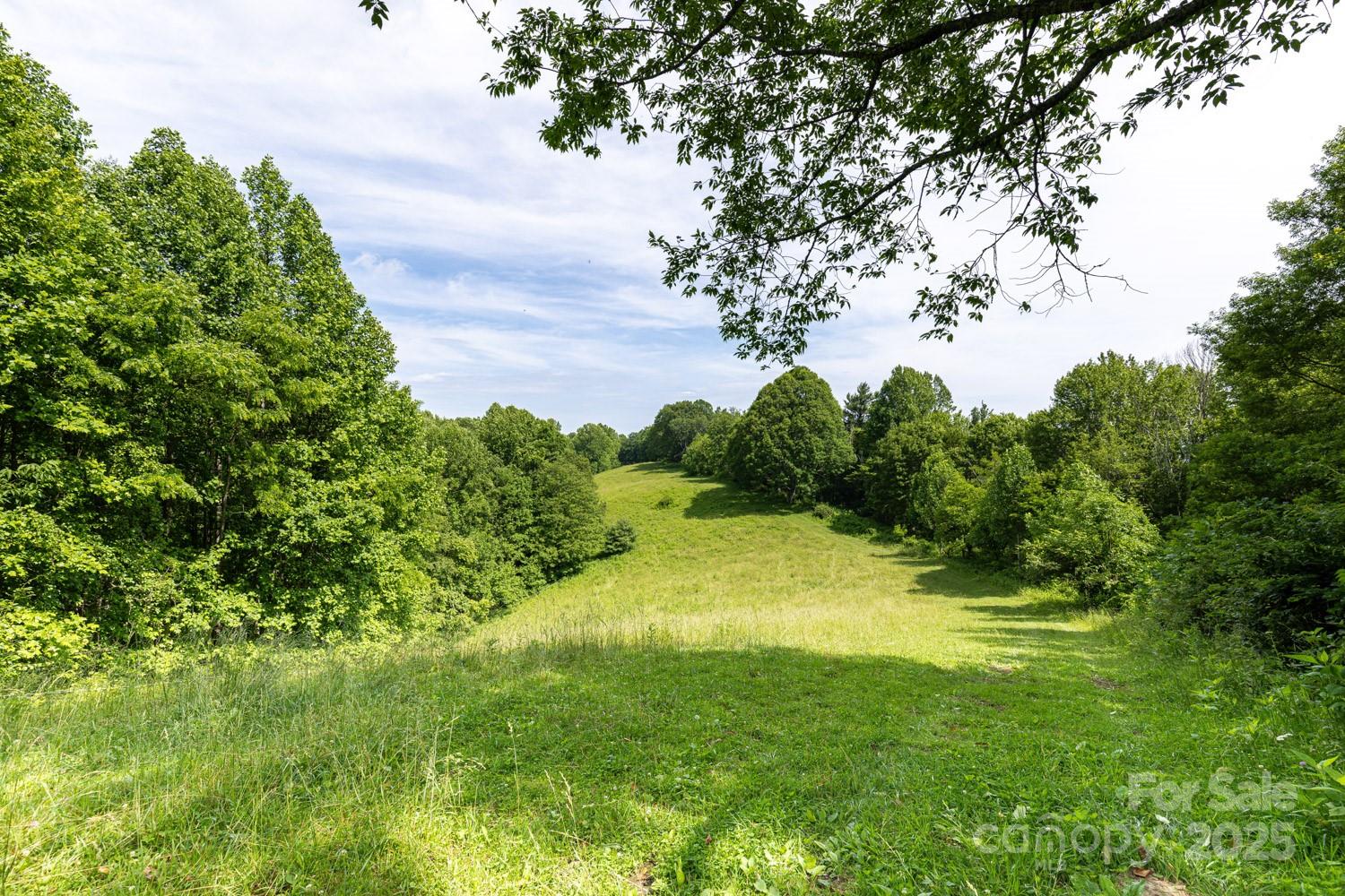 1745 Sugar Camp Road Marshall, NC 28753 - Photo 34 of 41 a view of a yard