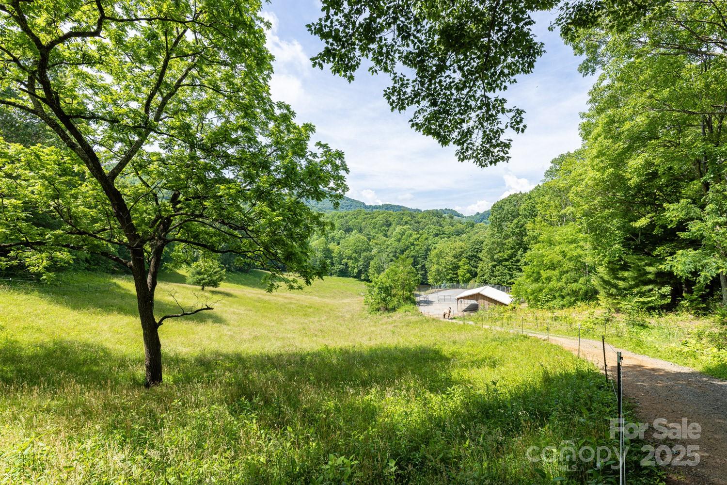 1745 Sugar Camp Road Marshall, NC 28753 - Photo 35 of 41 a view of yard from a house