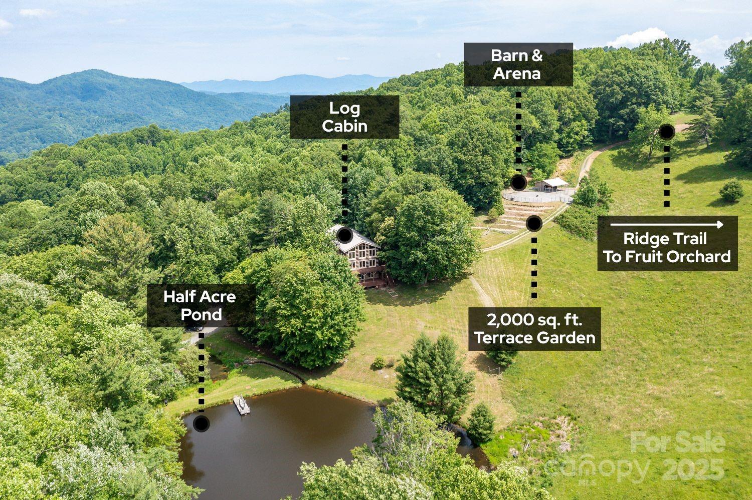 1745 Sugar Camp Road Marshall, NC 28753 - Photo 41 of 41 a view of a bunch of trees and bushes