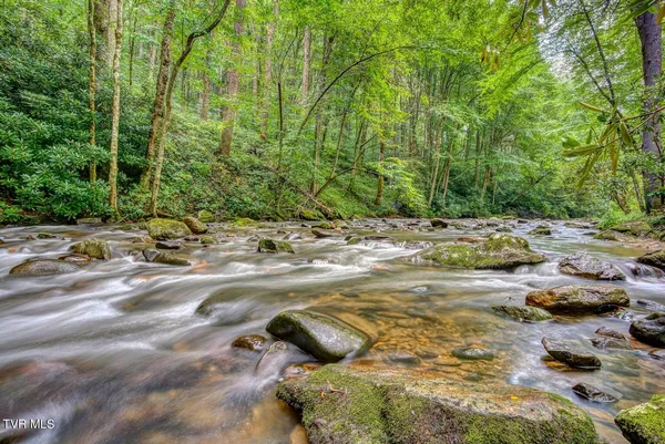 $115,000 | 206 Toms Creek Drive, Unit 5, Roan Mountain, TN 37687
