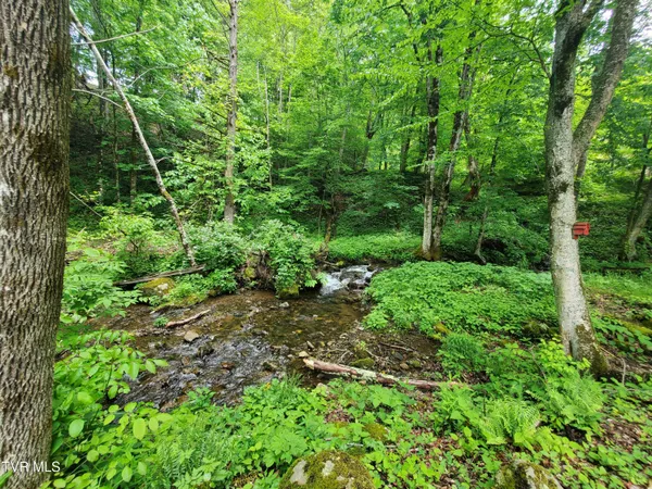 $115,000 | 206 Toms Creek Drive, Unit 5, Roan Mountain, TN 37687