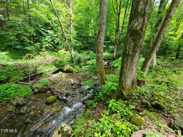 $115,000 | 206 Toms Creek Drive, Unit 5, Roan Mountain, TN 37687