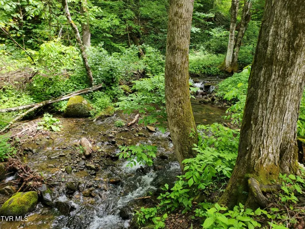 $115,000 | 206 Toms Creek Drive, Unit 5, Roan Mountain, TN 37687