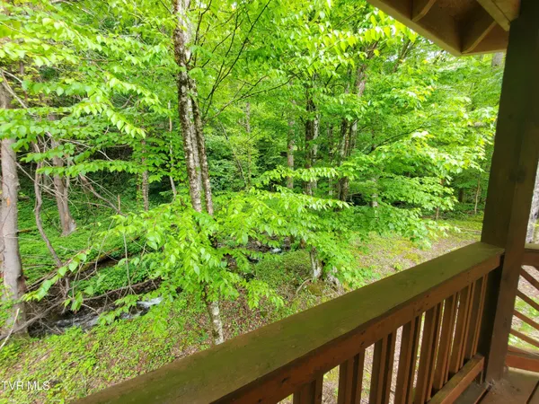 $115,000 | 206 Toms Creek Drive, Unit 5, Roan Mountain, TN 37687