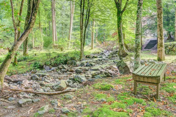 $115,000 | 206 Toms Creek Drive, Unit 5, Roan Mountain, TN 37687