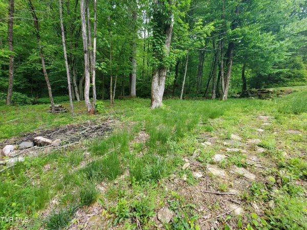 $115,000 | 206 Toms Creek Drive, Unit 5, Roan Mountain, TN 37687