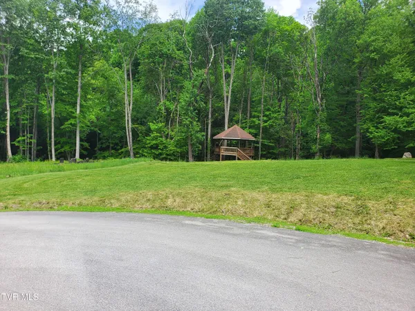 $115,000 | 206 Toms Creek Drive, Unit 5, Roan Mountain, TN 37687