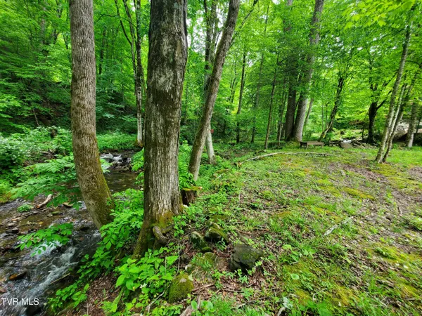 $115,000 | 206 Toms Creek Drive, Unit 5, Roan Mountain, TN 37687