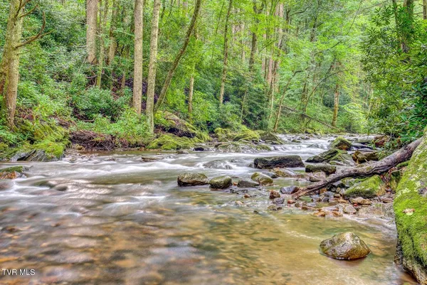 $115,000 | 206 Toms Creek Drive, Unit 5, Roan Mountain, TN 37687