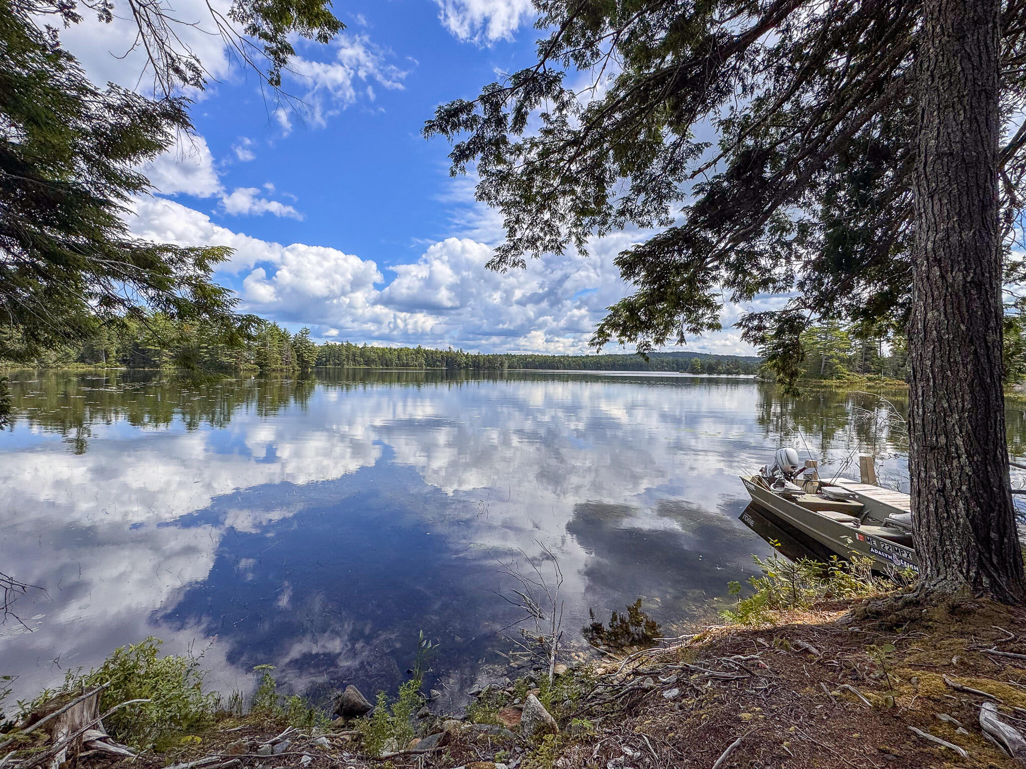 Lot 114 Long Lake Road Wesley, ME 04686 - Photo 9 of 21 9