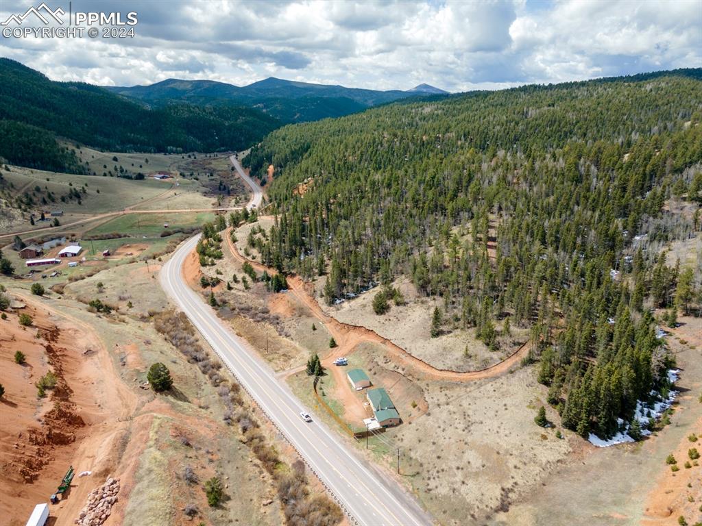 20909 Highway 67 Divide, CO 80814 - Photo 28 of 30 a view of a yard with wooden fence