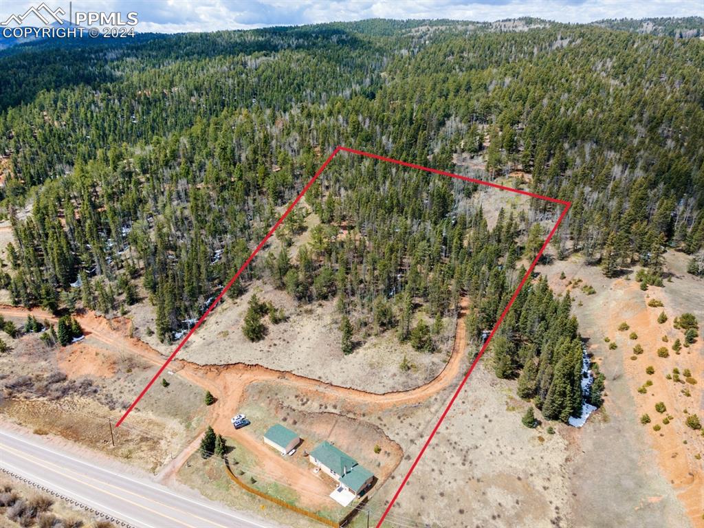 20909 Highway 67 Divide, CO 80814 - Photo 30 of 30 a view of a yard with plants
