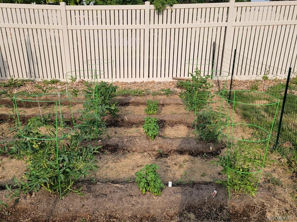 5328 Rustic Avenue Firestone, CO 80504 - Photo 19 of 22 a close up of a yard