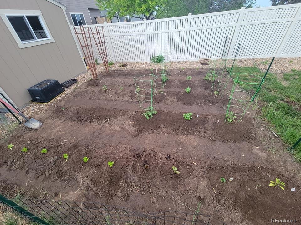 5328 Rustic Avenue Firestone, CO 80504 - Photo 20 of 22 a view of backyard and tree