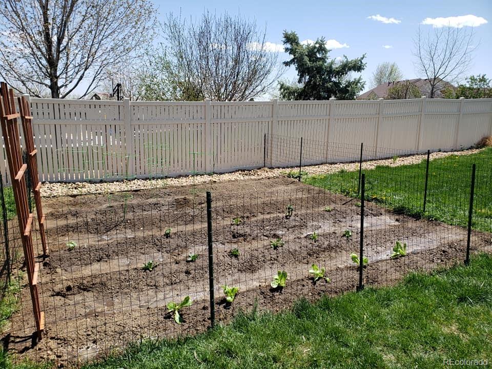 5328 Rustic Avenue Firestone, CO 80504 - Photo 21 of 22 a backyard of a house with lots of green space
