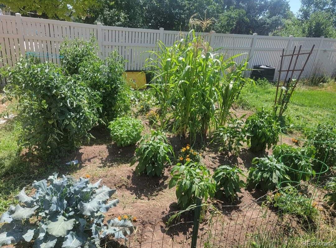 5328 Rustic Avenue Firestone, CO 80504 - Photo 22 of 22 a view of a garden with plants