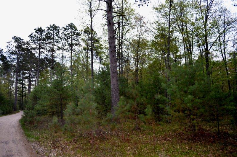 On Wakefield Lake Road, Unit LOT 2 St. Germain, WI 54558 - Photo 13 of 15 Gallery Image 13