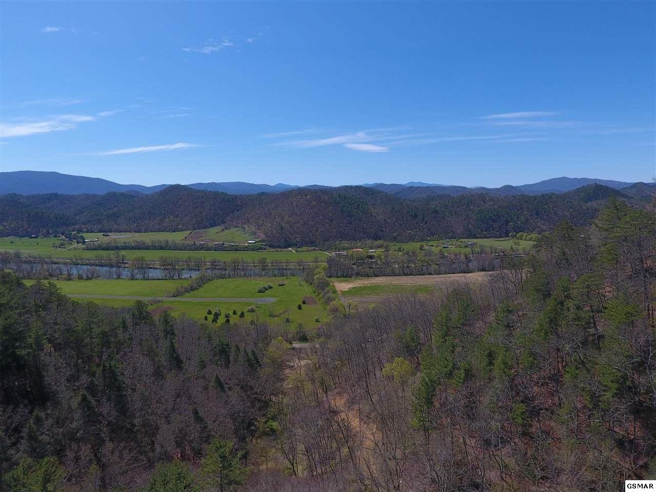 3466 Highway 25 Del Rio, TN 37727 - Photo 20 of 23