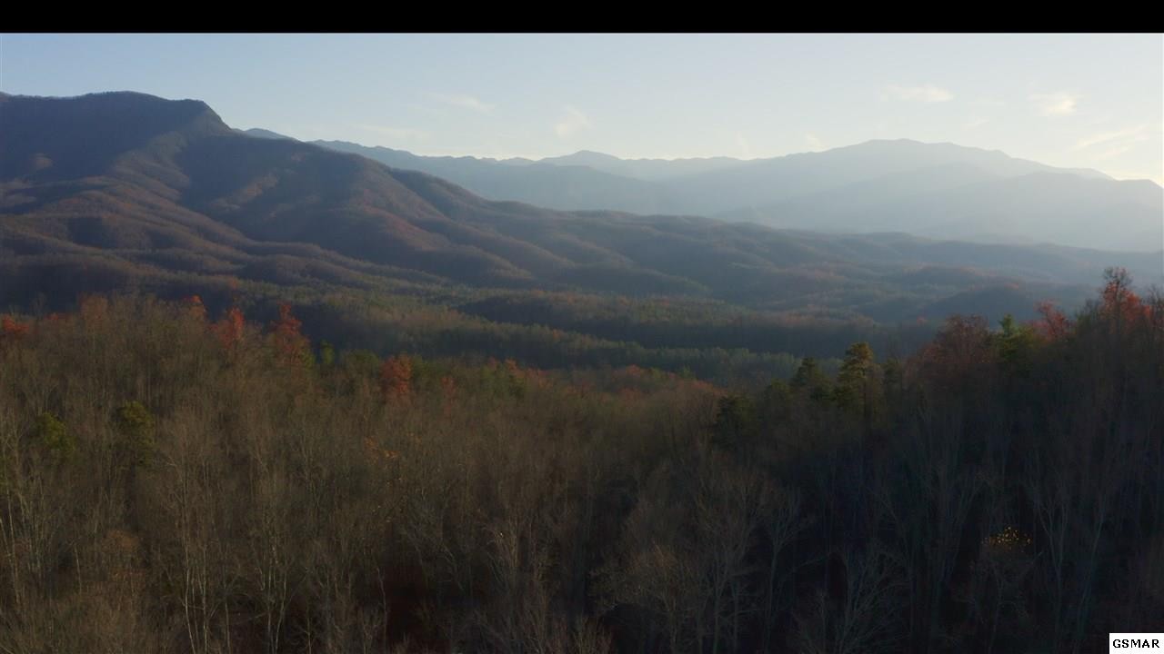 314 Hickey Road Sevierville, TN 37876 - Photo 1 of 36