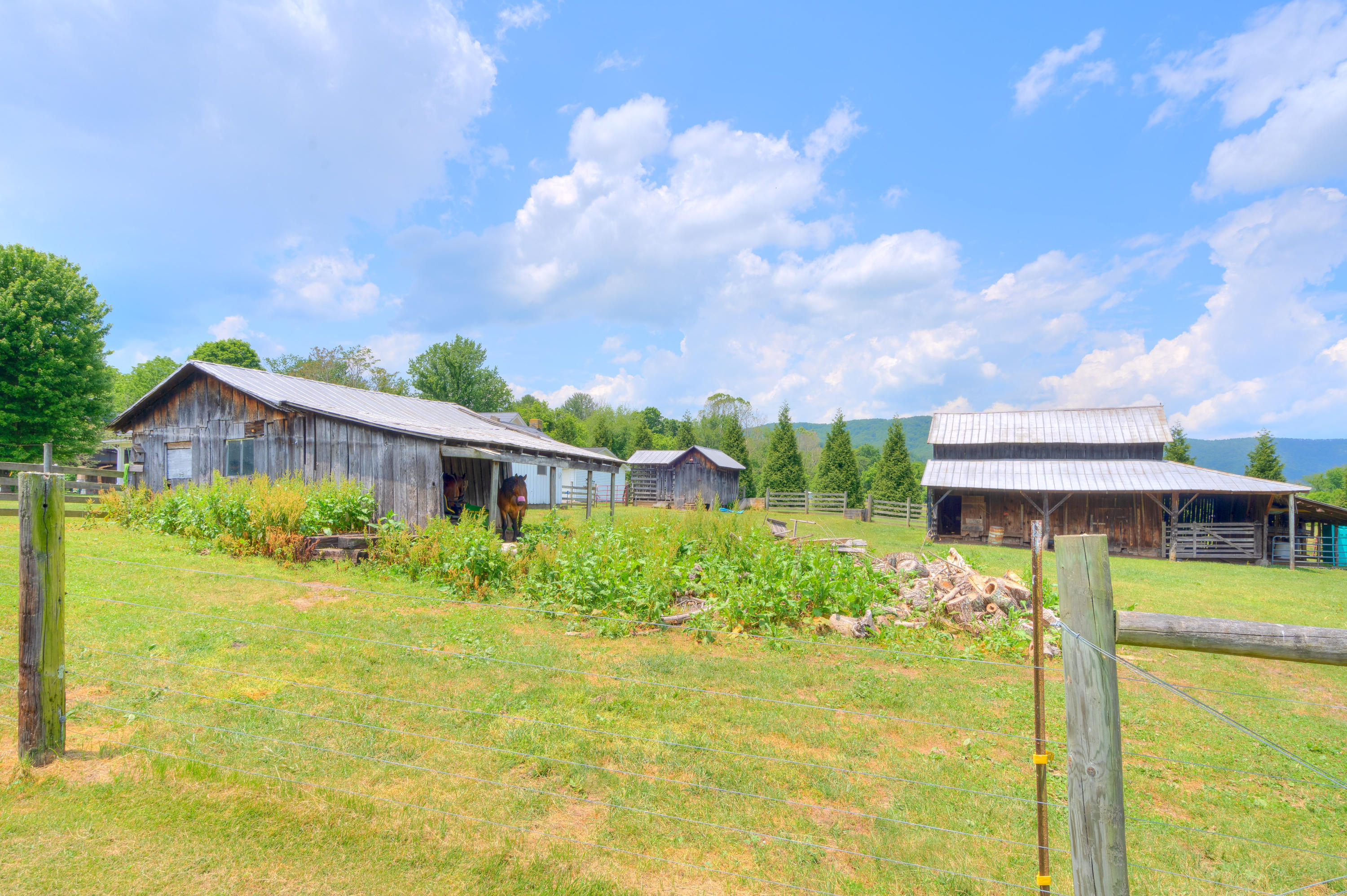 7958 Parrott River Road Parrott, VA 24132 - Photo 42 of 67 7958_ParrotRiverRd_HiRes-12
