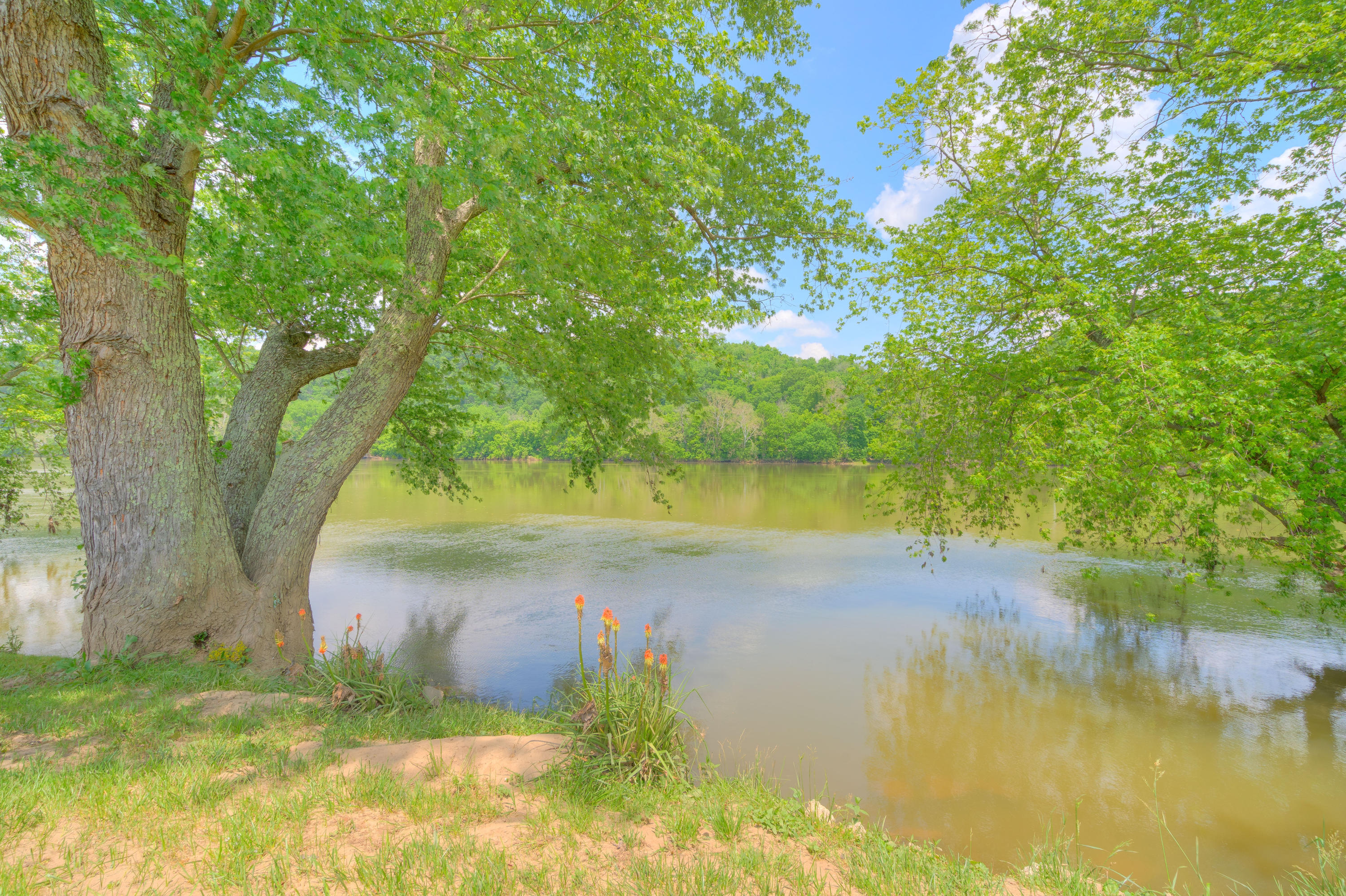 7958 Parrott River Road Parrott, VA 24132 - Photo 45 of 67 7958_ParrotRiverRd_HiRes-27
