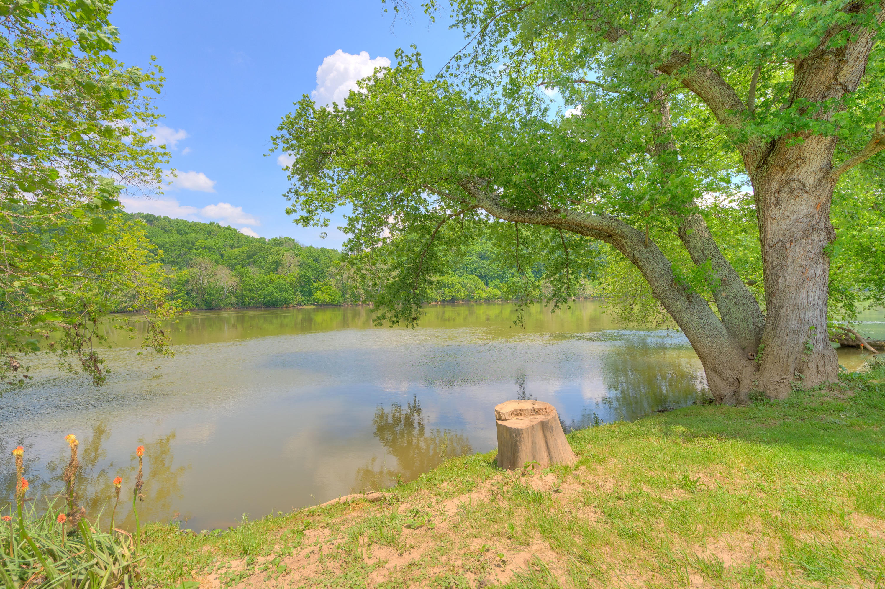 7958 Parrott River Road Parrott, VA 24132 - Photo 6 of 67 7958_ParrotRiverRd_HiRes-28