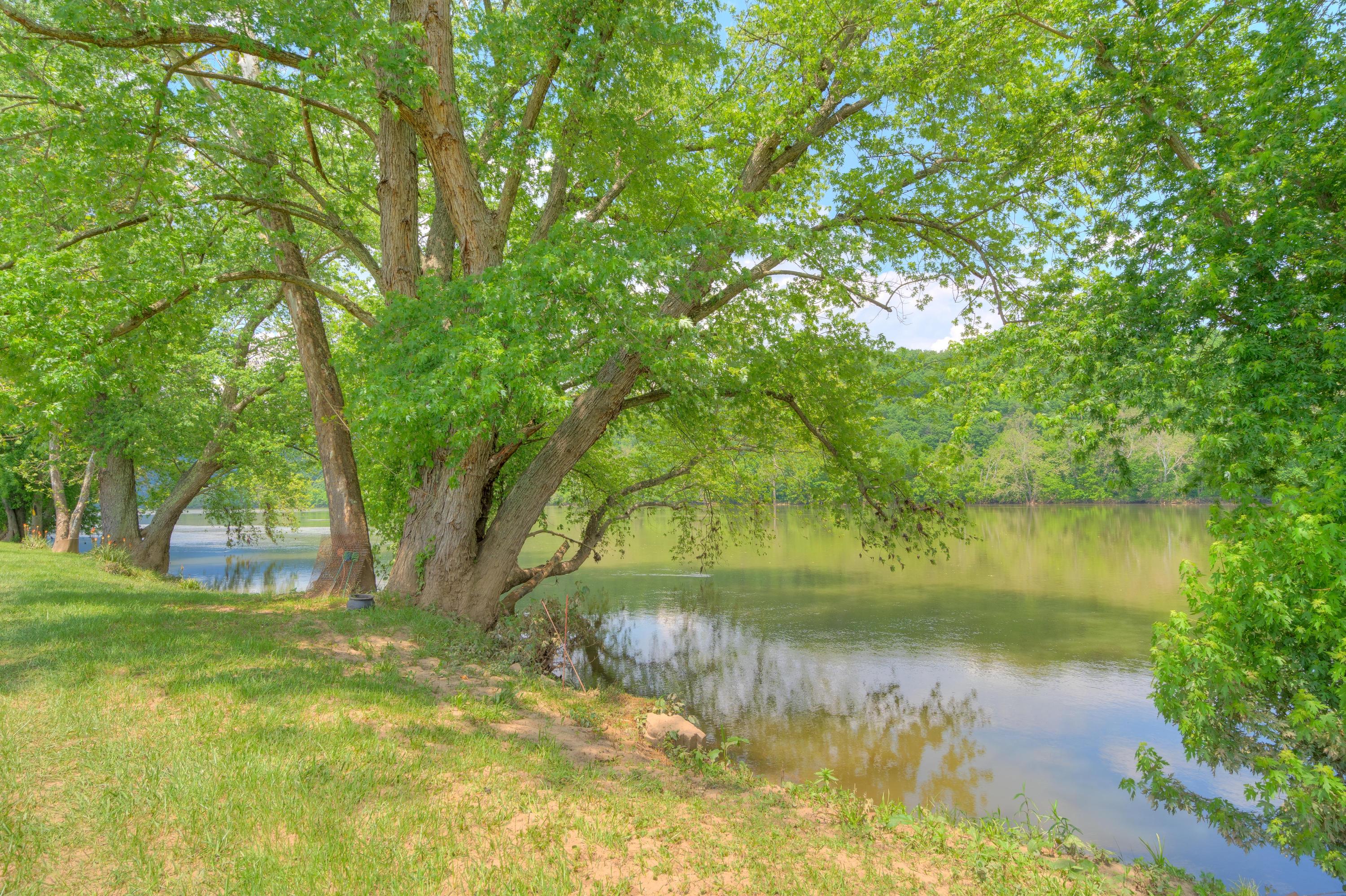 7958 Parrott River Road Parrott, VA 24132 - Photo 52 of 67 7958_ParrotRiverRd_HiRes-25