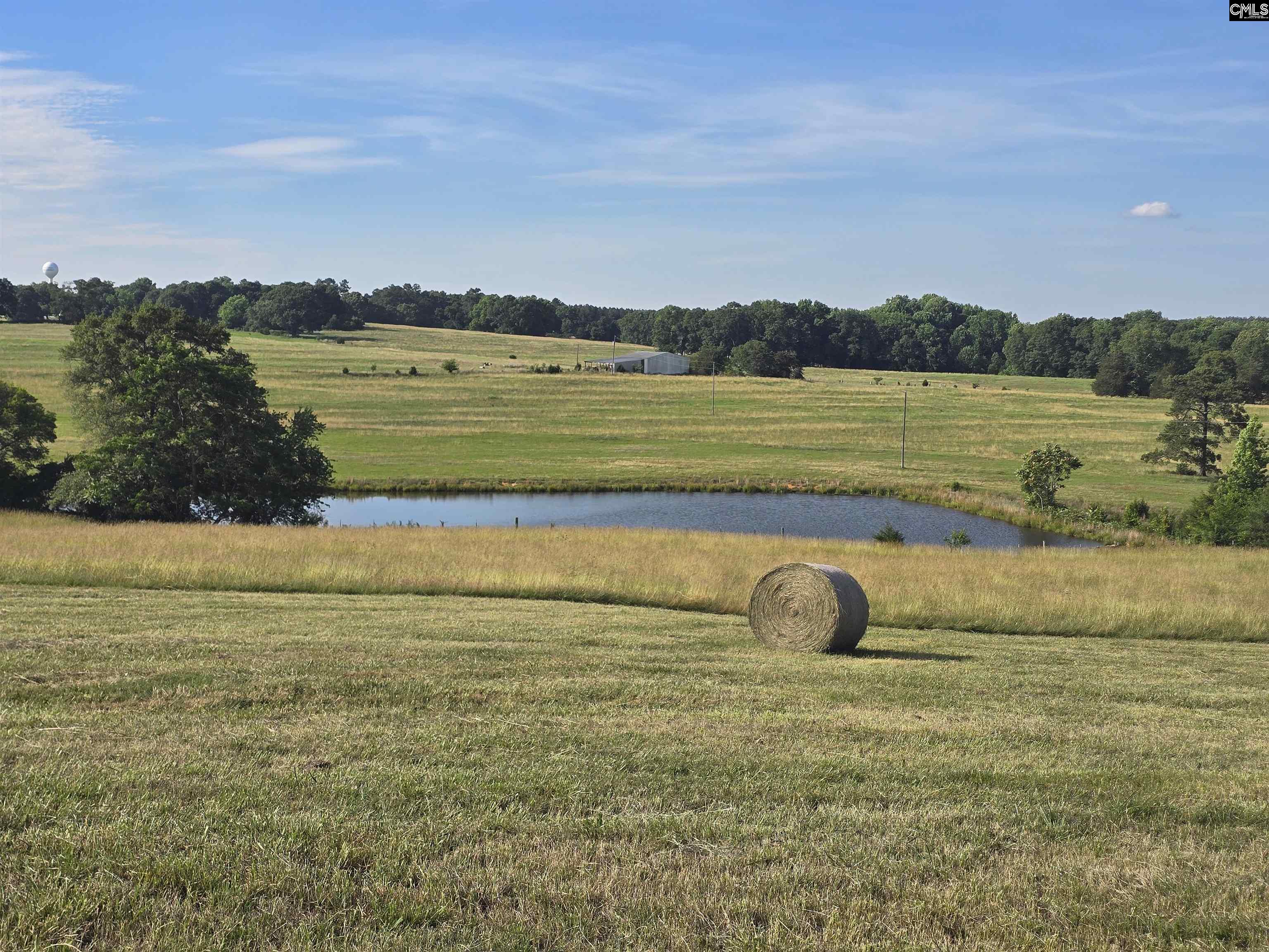 542 Pea Ridge Highway Jonesville, SC 29353 - Photo 72 of 72