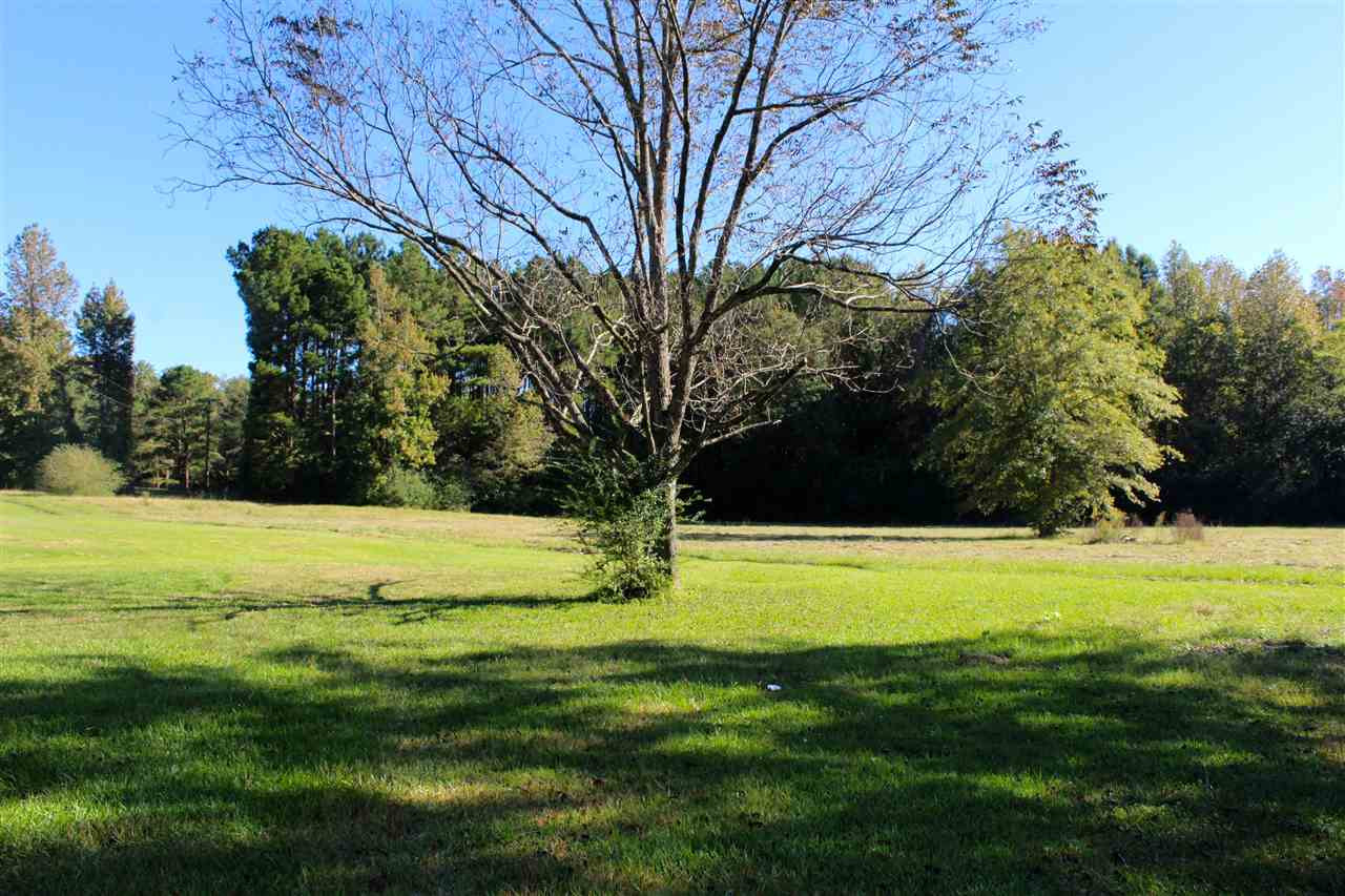 1668 Old Pearl Road Florence, MS 39073 - Photo 8 of 30 Photo 8