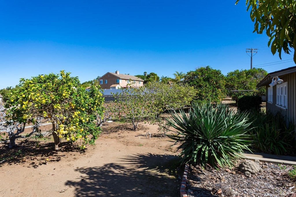 323 Hill Drive Vista, CA 92083 - Photo 29 of 39 a view of a yard with a tree