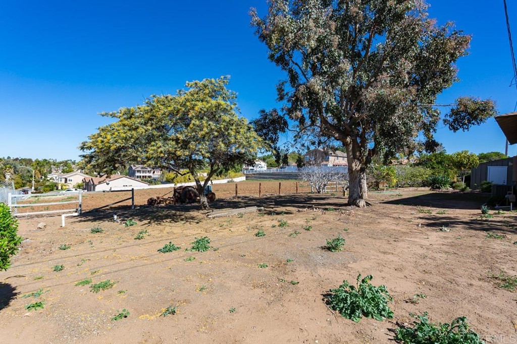 323 Hill Drive Vista, CA 92083 - Photo 30 of 39 a view of a yard with a tree